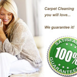 carpet cleaners in salt lake city utah