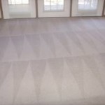 carpet cleaning salt lake city