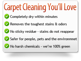  Dry Carpet Cleaning 