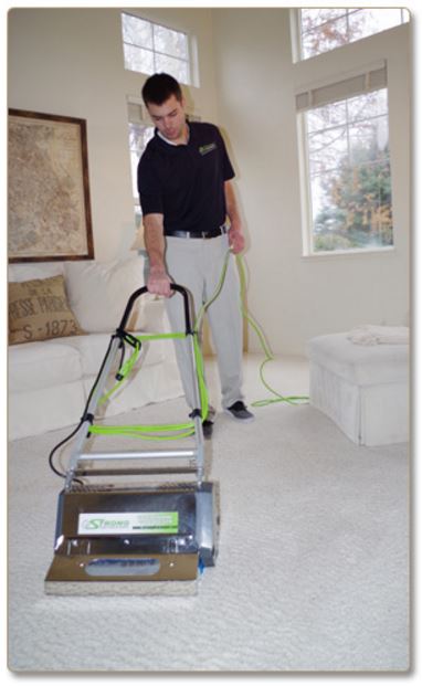  Dry Organic Carpet Cleaning
