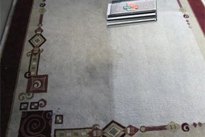 Dry Organic Carpet Cleaning in Russia Ohio