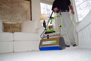 Dry Organic Carpet Cleaning in Russia Ohio