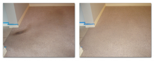 Dry Organic Carpet Cleaning in Russia Ohio