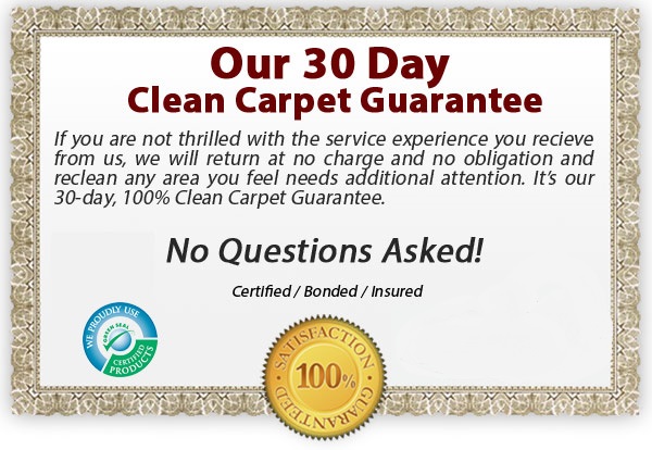  Organic carpet cleaning